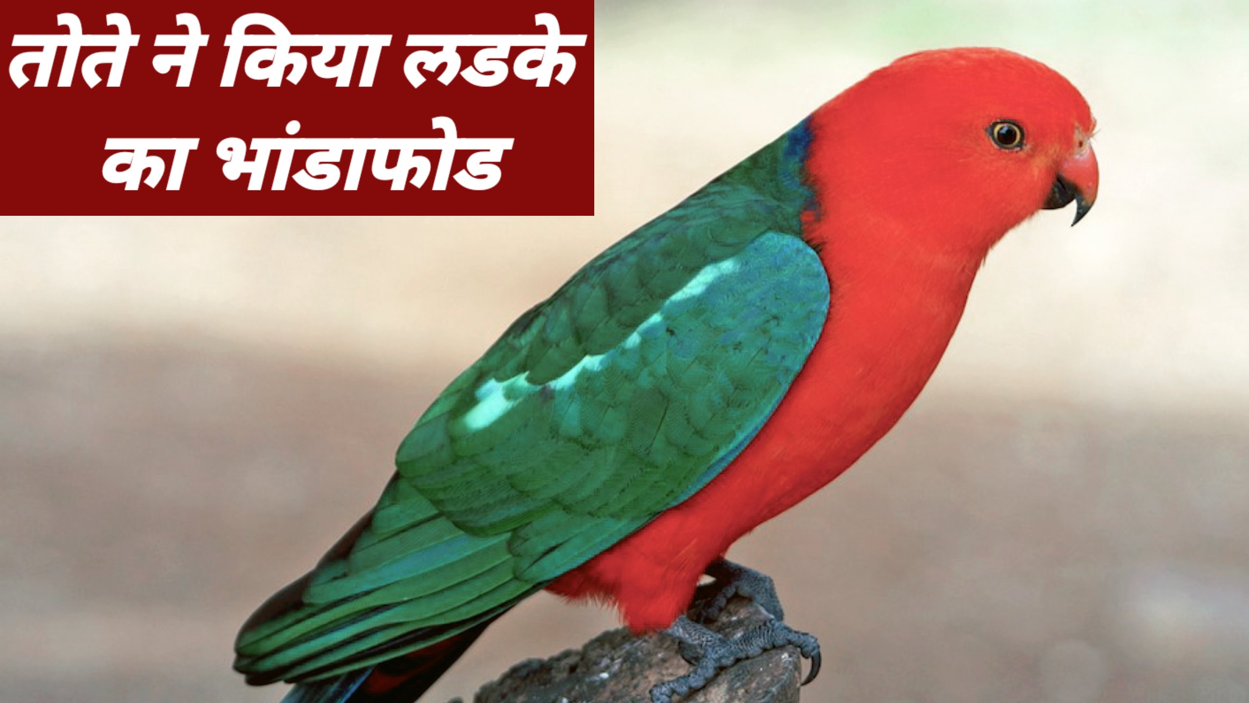 Parrot तोते