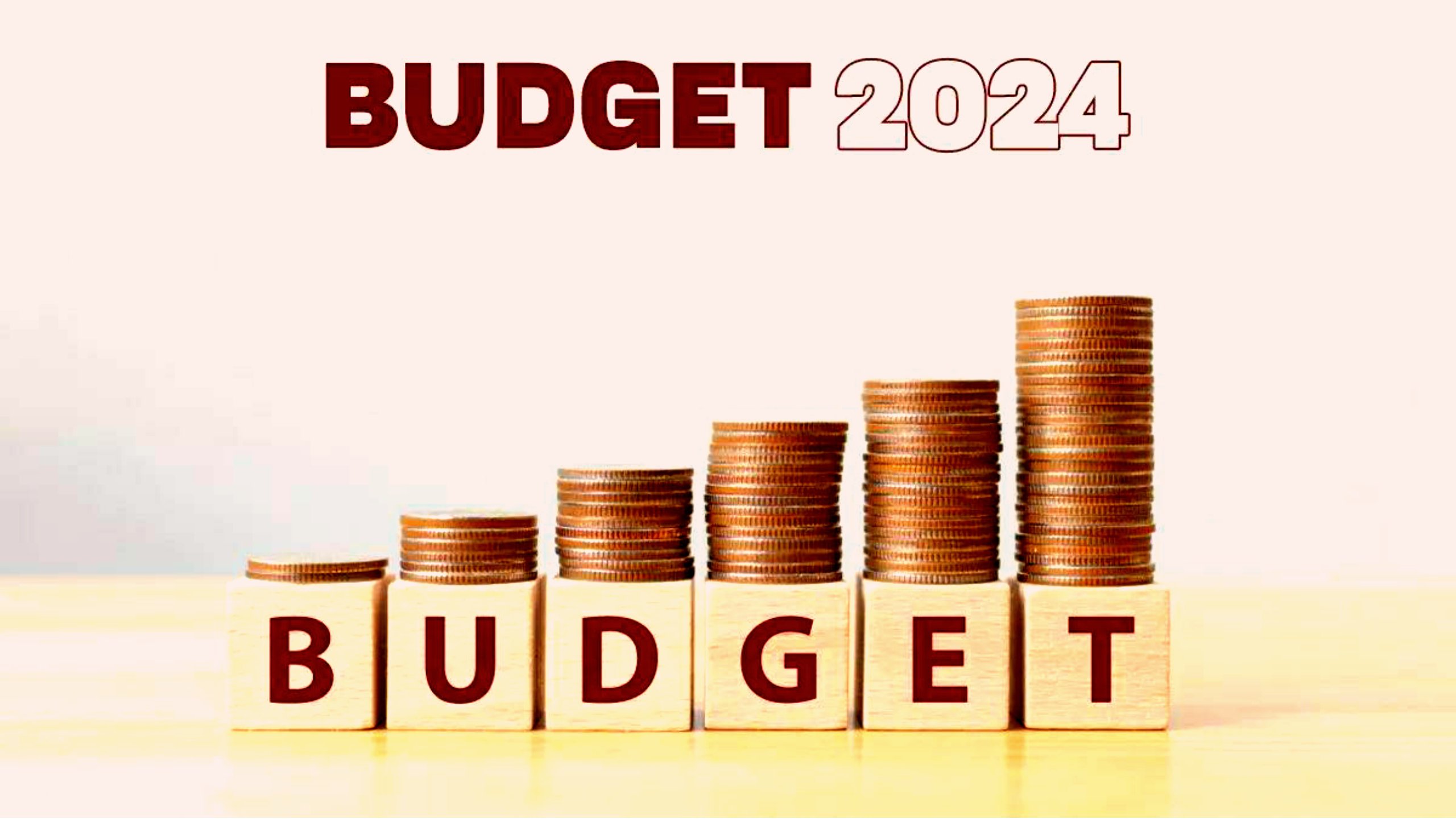 BUDGET 2024 | केंद्रीय कर्मचारियों की सैलरी में बढ़ोतरी, बजट में क्या है दूसरा तोहफा?